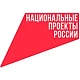 Национальные Проекты России